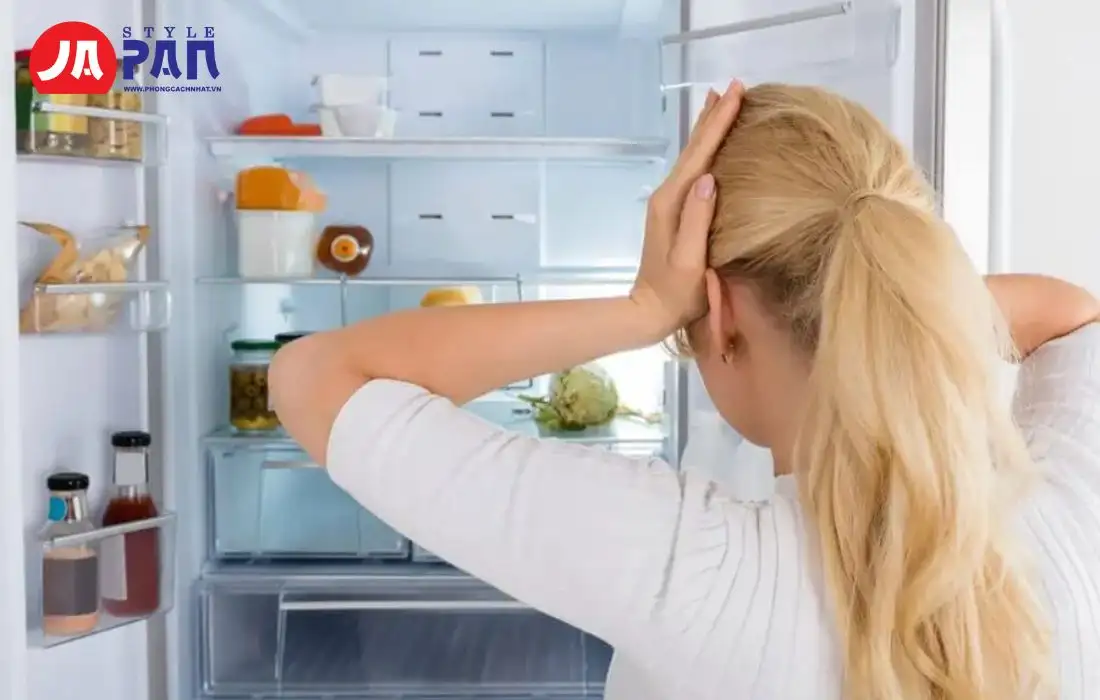 Tại sao tủ lạnh chảy nước ở ngăn mát? Cách khắc phục hiệu quả 2 Gây hỏng hóc