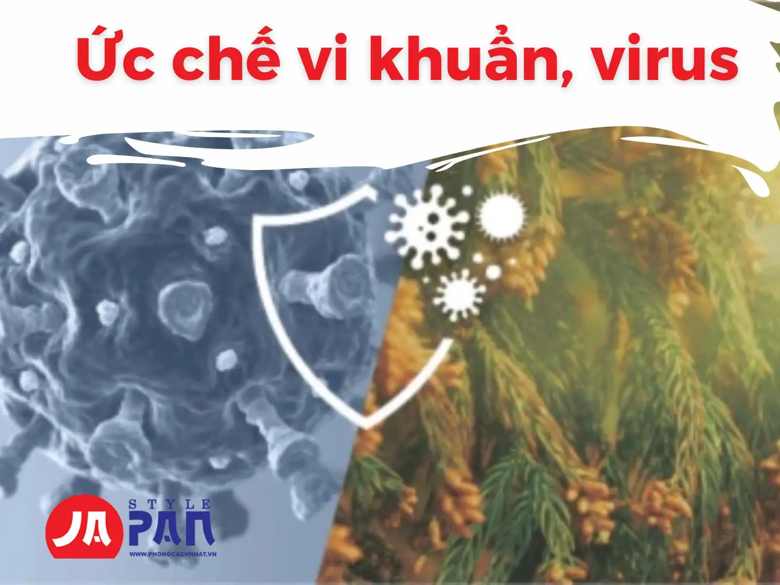 Ức chế vi khuẩn, virus
