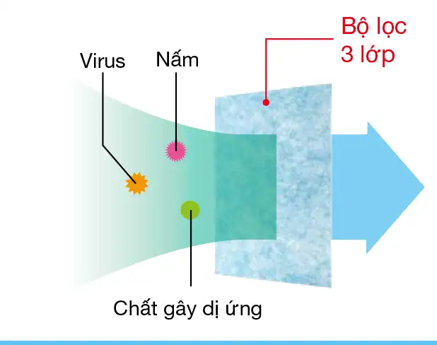 1 1669739734 9449359541 5