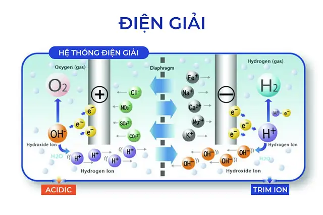 he thong dien giai 1