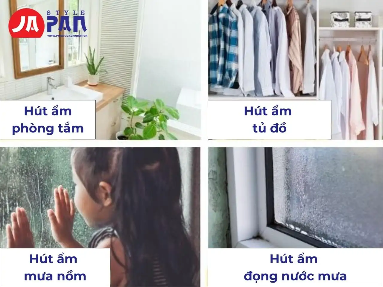 Hút ẩm mạnh mẽ