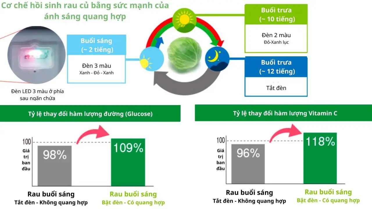 Đèn LED 3 màu quang hợp của MR-WXD70K