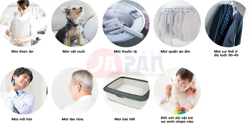 Khử trùng mọi loại mùi 