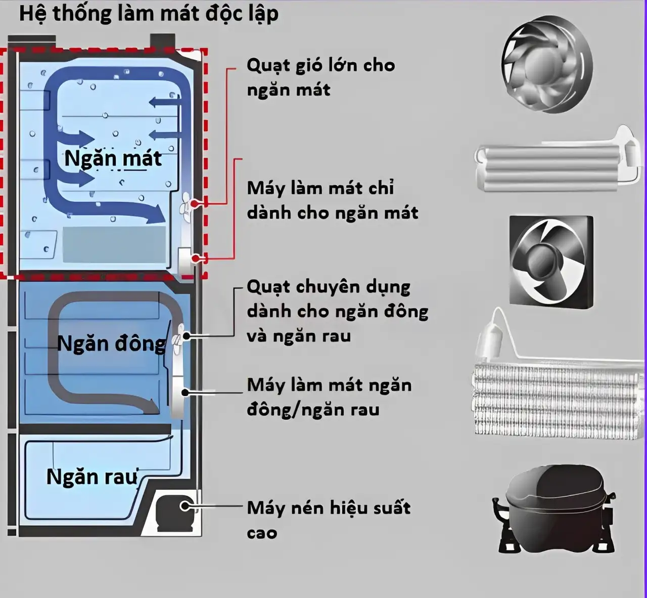 Hệ thống làm mát độc lập