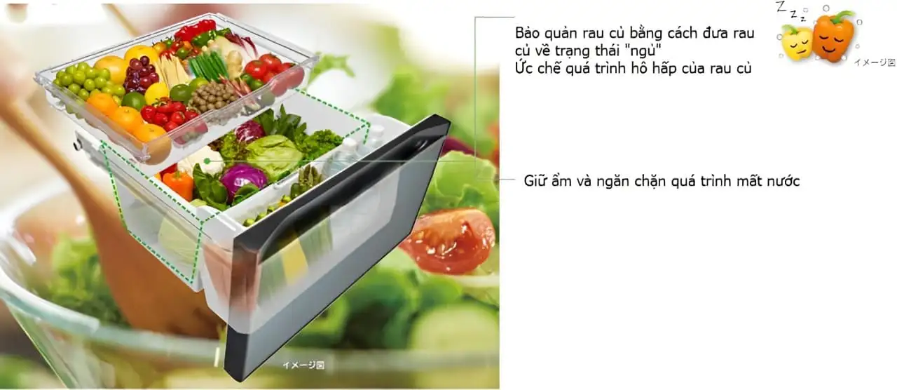 Ngăn rau củ lớn và tiện dụng